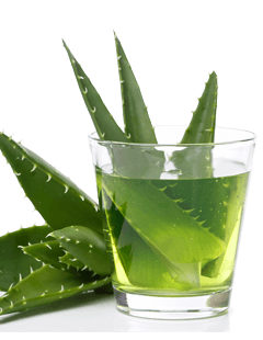 Bebida de Aloe Vera - buenas razones para beber Aloe Vera