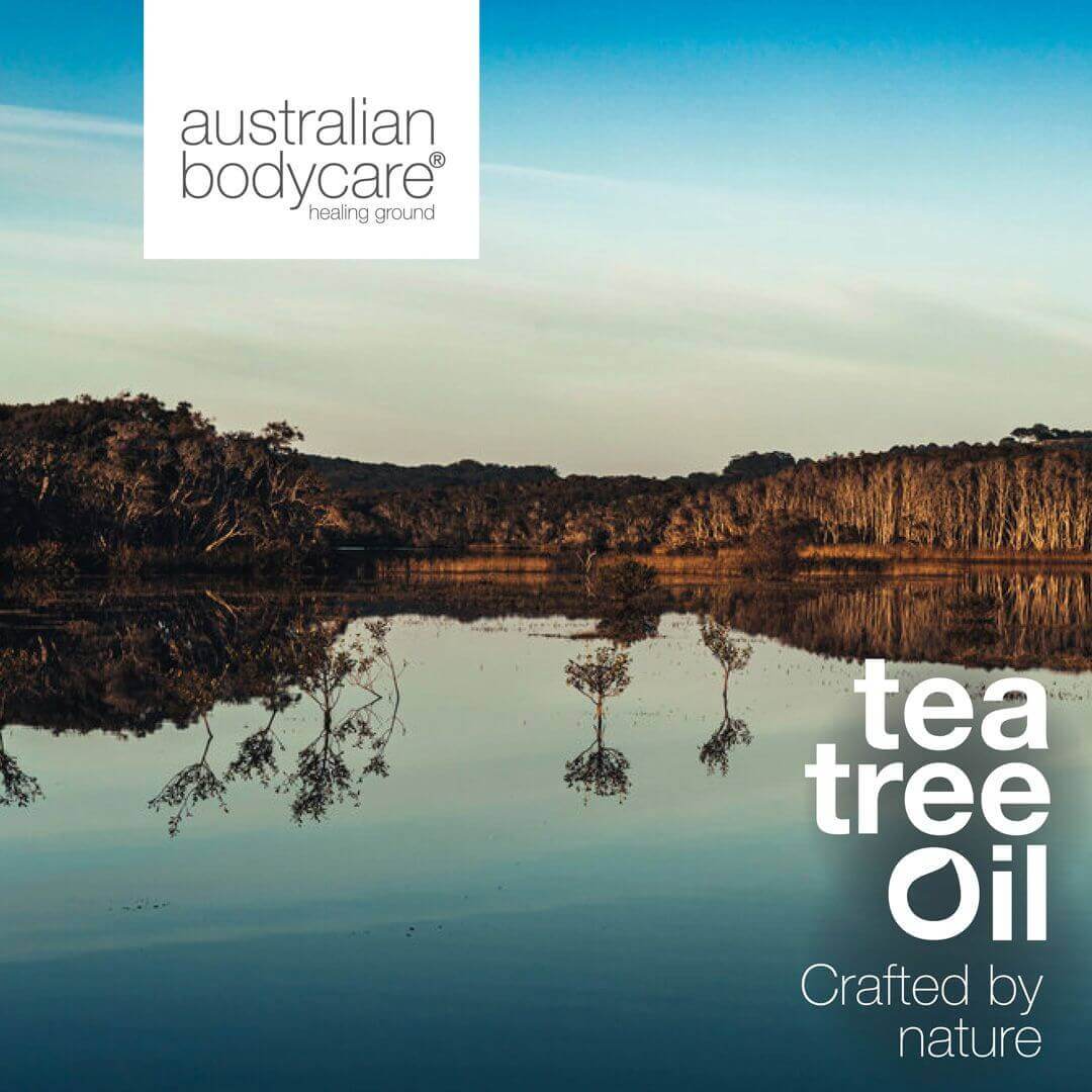 Toallitas húmedas con aceite de árbol de té (24 uds.) - Limpia y refresca eficazmente la piel del cuerpo