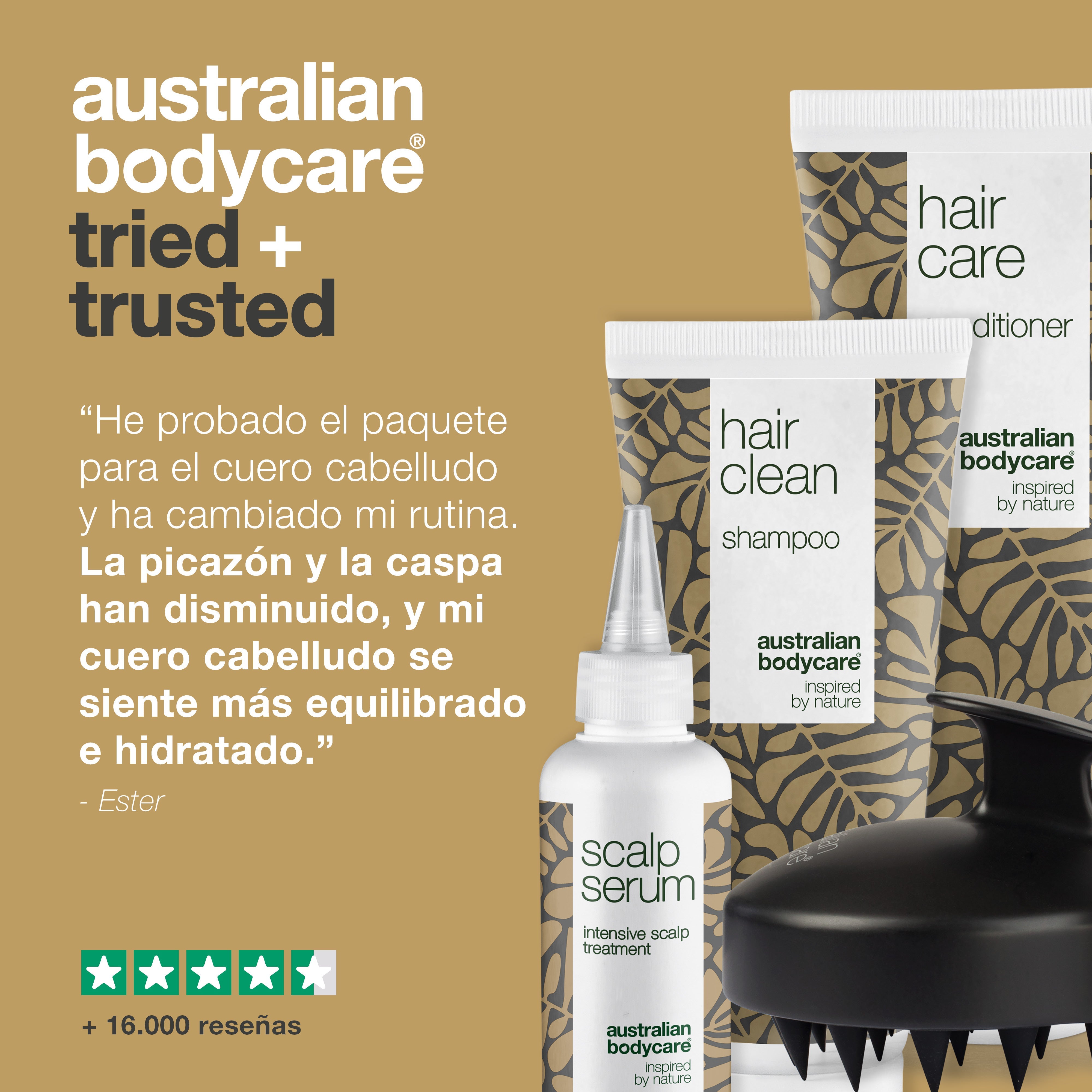 El kit definitivo para el cuidado del cuero cabelludo: 4 productos para la caspa, el cabello graso y el cuero cabelludo seco o con picazón