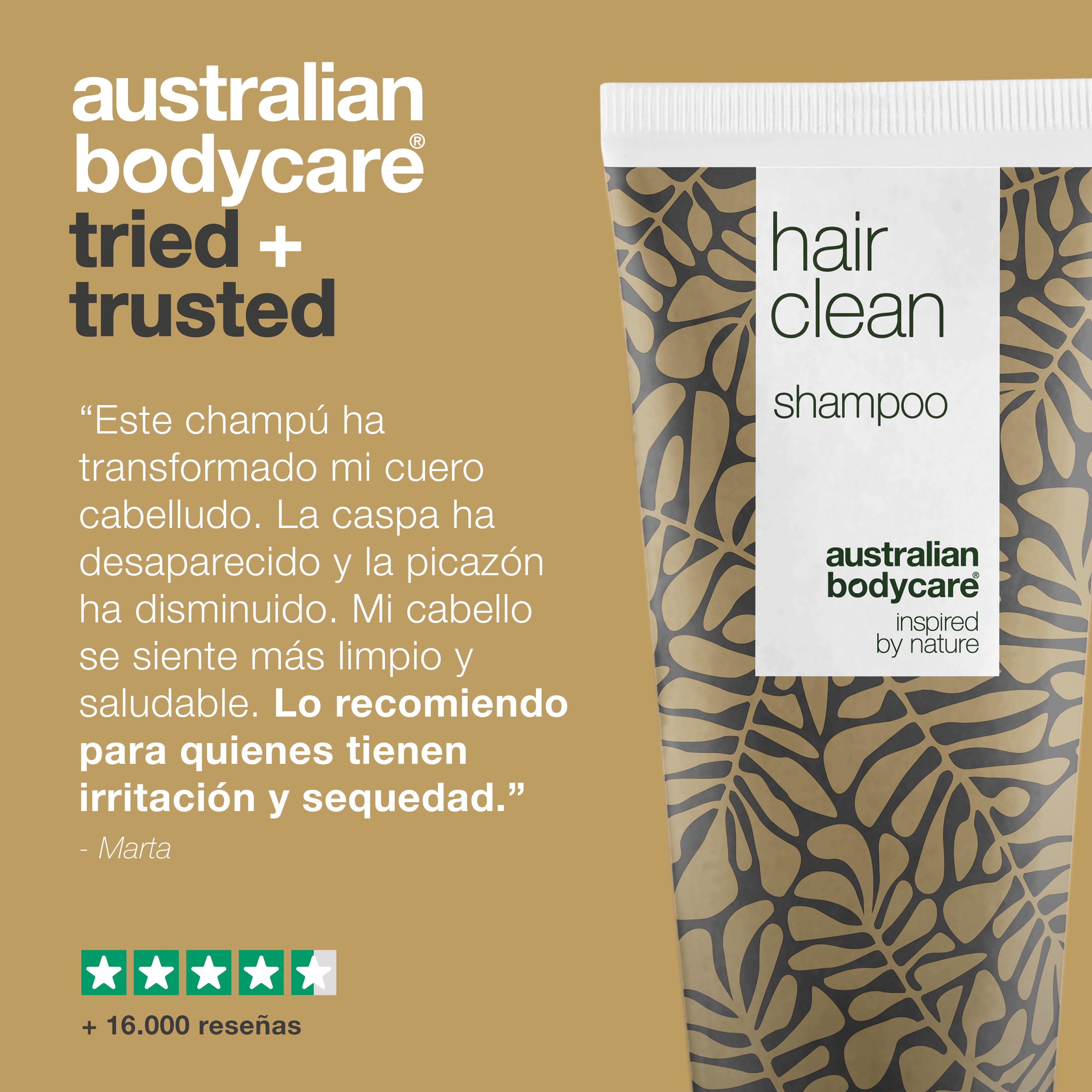 Champú anticaspa con aceite de árbol de té contra el cuero cabelludo seco y con picazón — Champú de árbol de té para el cuidado diario y la prevención de la caspa, el cuero cabelludo escamoso y las manchas en el cuero cabelludo
