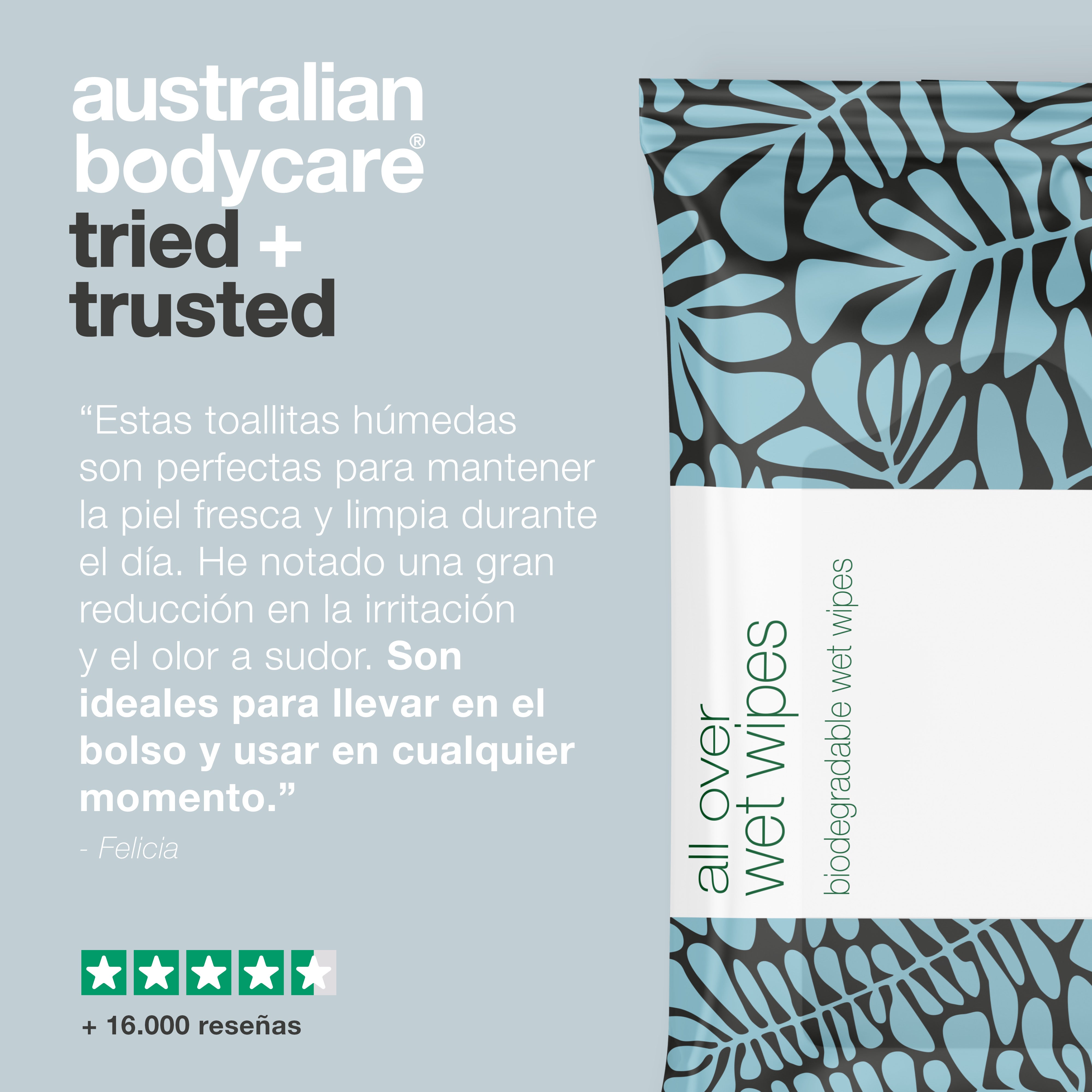 Toallitas húmedas para adultos con Aceite de Árbol de Té 24uds — Limpia eficazmente la piel del cuerpo