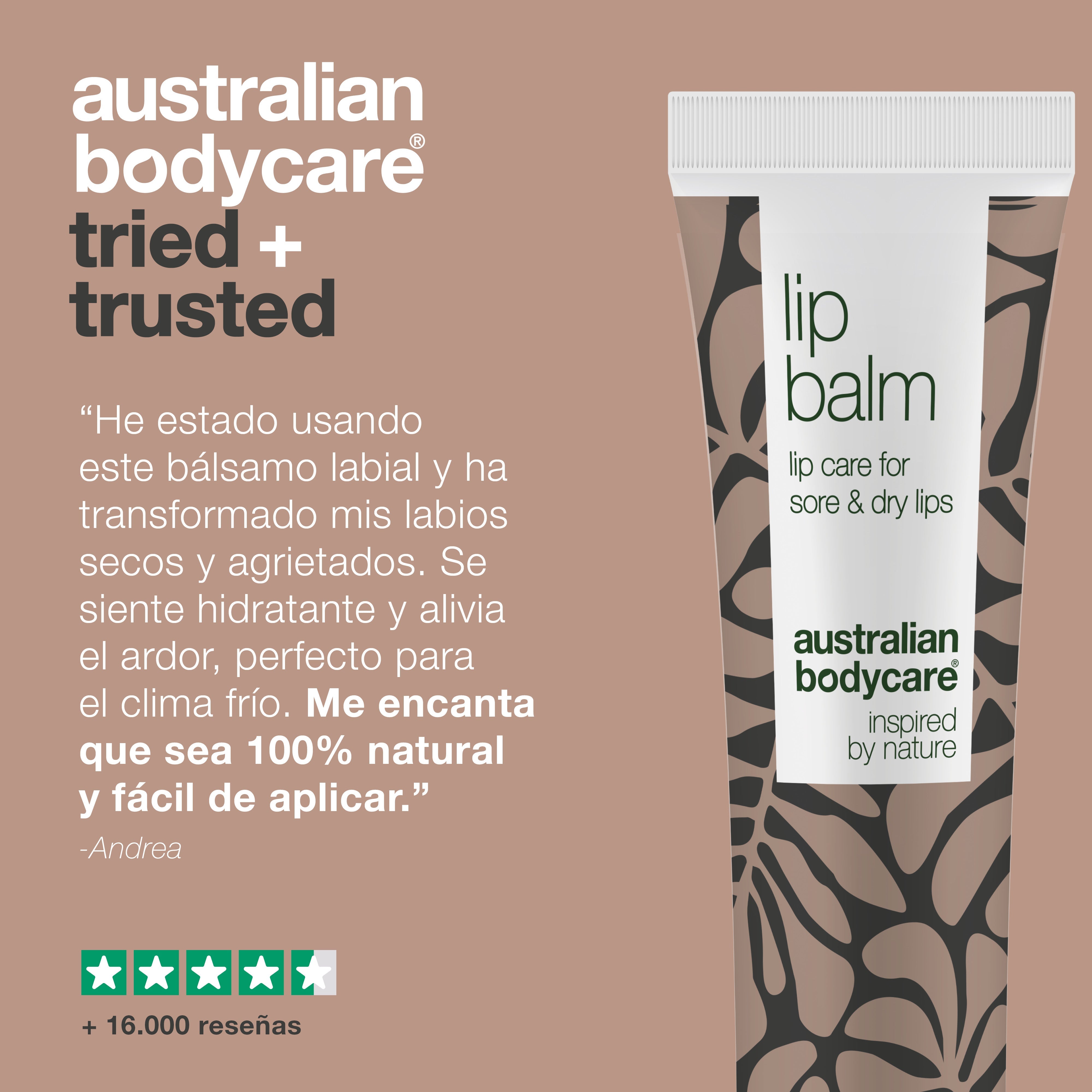 Bálsamo labial para el cuidado de los labios secos y agrietados — Bálsamo labial con aceite de árbol de té para los labios secos y el cuidado del herpes labial