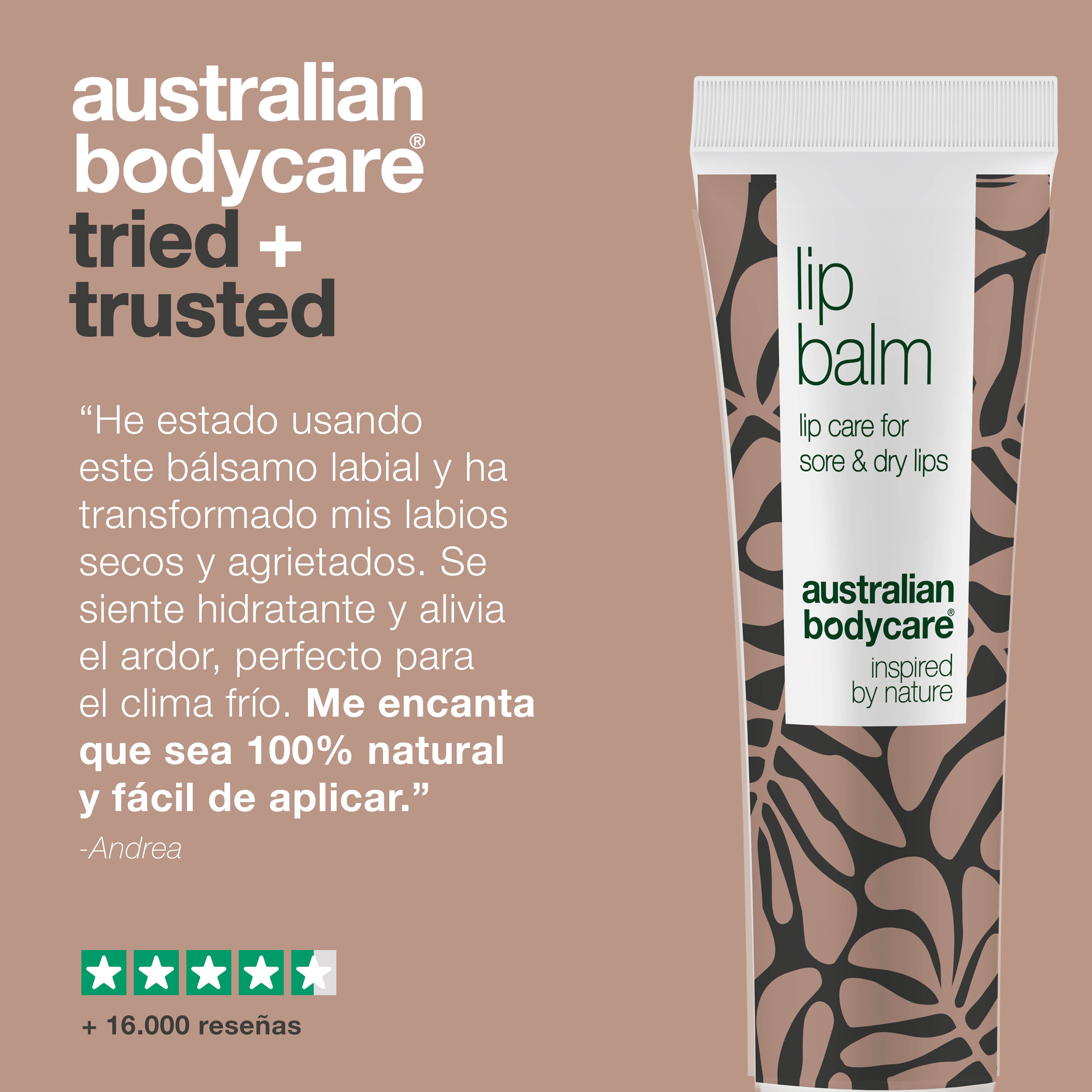 Bálsamo Labial para el cuidado de los labios secos — Bálsamo labial con aceite del árbol de té para labios secos y el cuidado de herpes labial