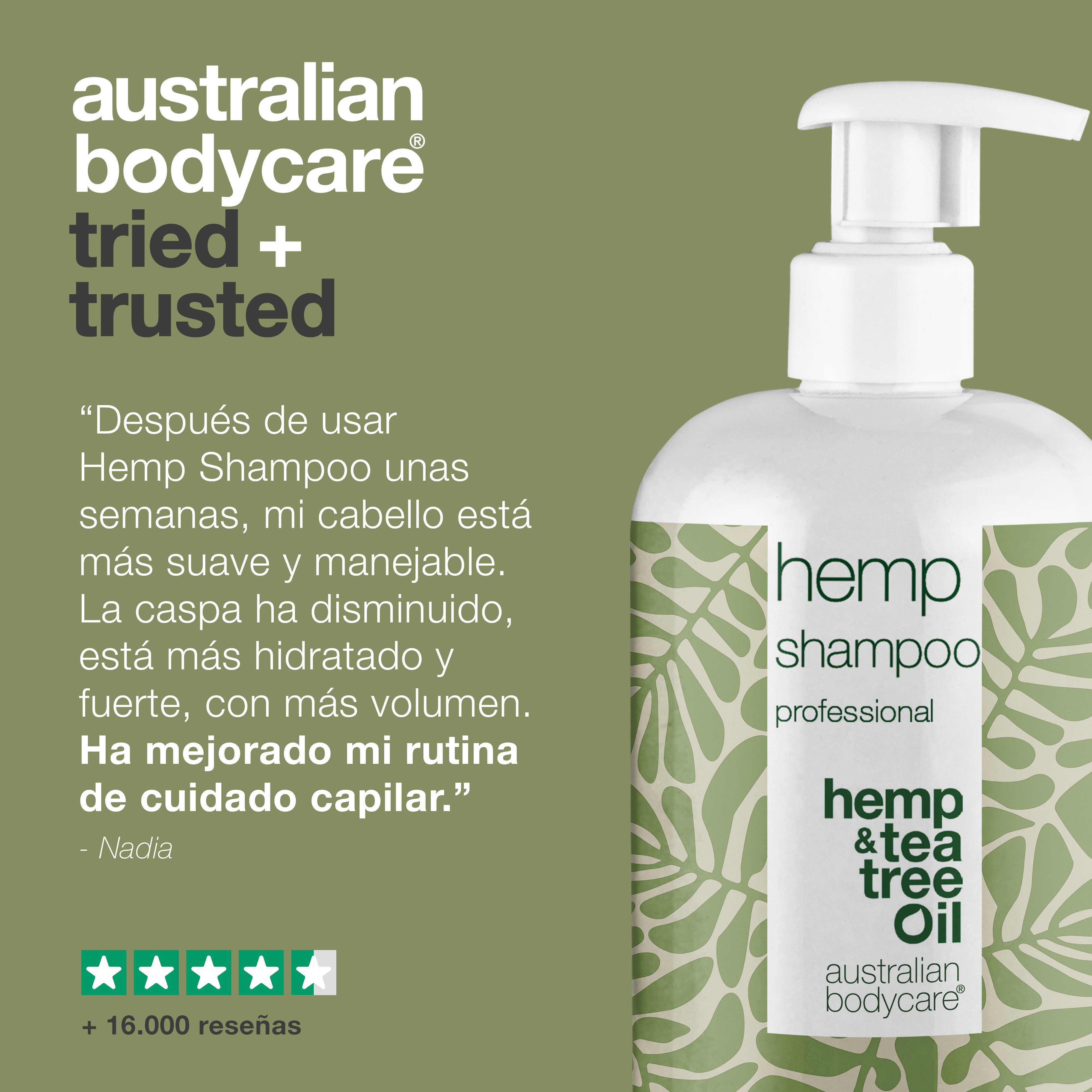Champú de cáñamo para cabello seco y cuero cabelludo equilibrado: el champú de cáñamo proporciona hidratación y nutrición profundas al mismo tiempo que ayuda a mantener un cuero cabelludo equilibrado y saludable.