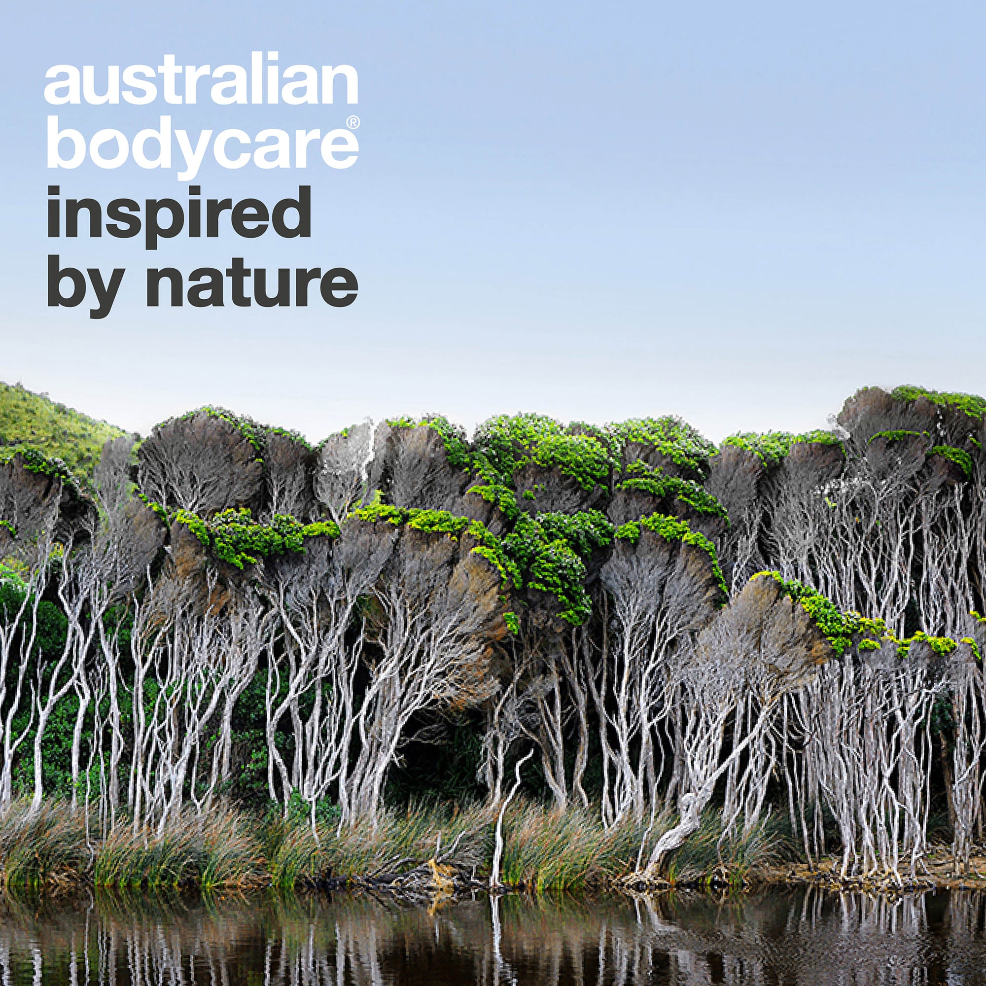 Australian Bodycare – inspired by nature: paisaje australiano con árboles de té