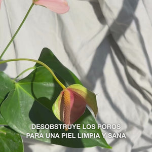 Primer plano de una mano deslizándo suavemente el exfoliante facial Face Scrubber, con cerdas de silicona suaves, en movimientos circulares sobre piel del rostro ligeramente húmeda: el cepillo flexible exfolia y limpia profundamente, eliminando impurezas y células muertas, revelando una textura lisa y un brillo renovado.