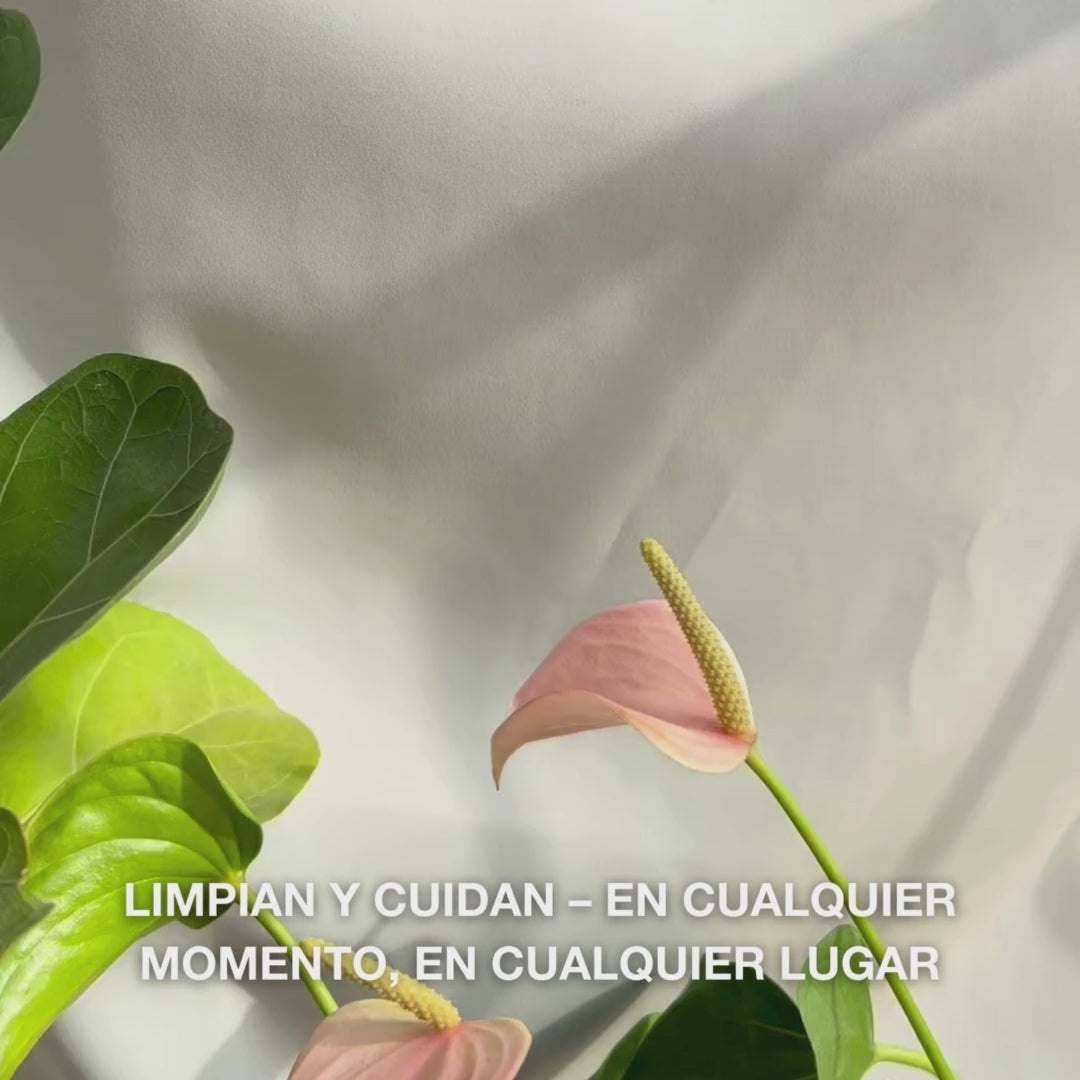 Primer plano de una mano desplegando una toallita facial suave y húmeda con aceite de árbol de té, frotándola suavemente sobre la piel para eliminar maquillaje, grasa e impurezas—destacando su textura delicada y el efecto refrescante y calmante, ideal para pieles sensibles a grasas.