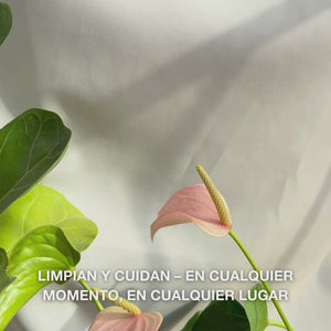 Primer plano de una mano desplegando una toallita facial suave y húmeda con aceite de árbol de té, frotándola suavemente sobre la piel para eliminar maquillaje, grasa e impurezas—destacando su textura delicada y el efecto refrescante y calmante, ideal para pieles sensibles a grasas.
