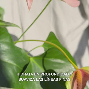 Primer plano de una mano depositando unas gotas de un suero facial sedoso y transparente desde un gotero sobre las yemas de los dedos, y masajeándolo suavemente sobre la piel ligeramente humedecida: su textura ligera y de rápida absorción hidrata al instante, rellena líneas finas y calma con ácido hialurónico al 2 %, vitamina B5 y aceite de árbol de té 