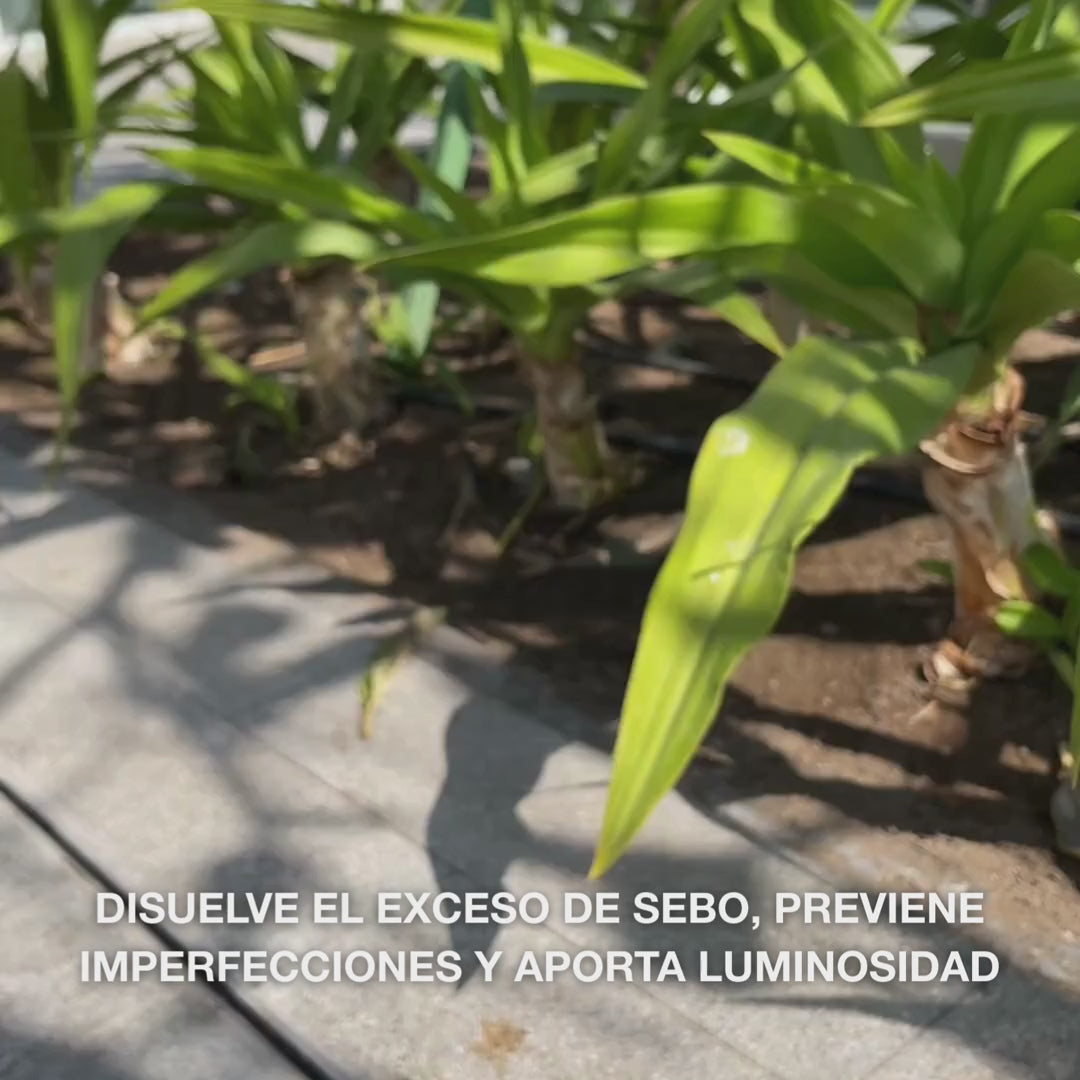 Limpiador facial con ácido salicílico – limpia poros y reduce granos, puntos negros y grasa