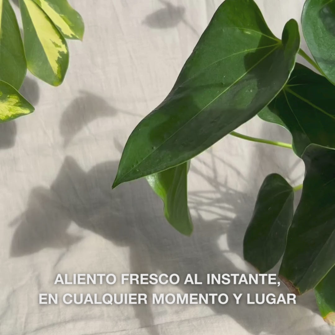Primer plano de una mano agitando ligeramente el frasco compacto del spray bucal y rociando una fina niebla hidratante sobre la lengua y las encías: la ligera neblina refresca al instante el aliento, humedece la boca seca, calma la irritación y deja una sensación limpia y mentolada.