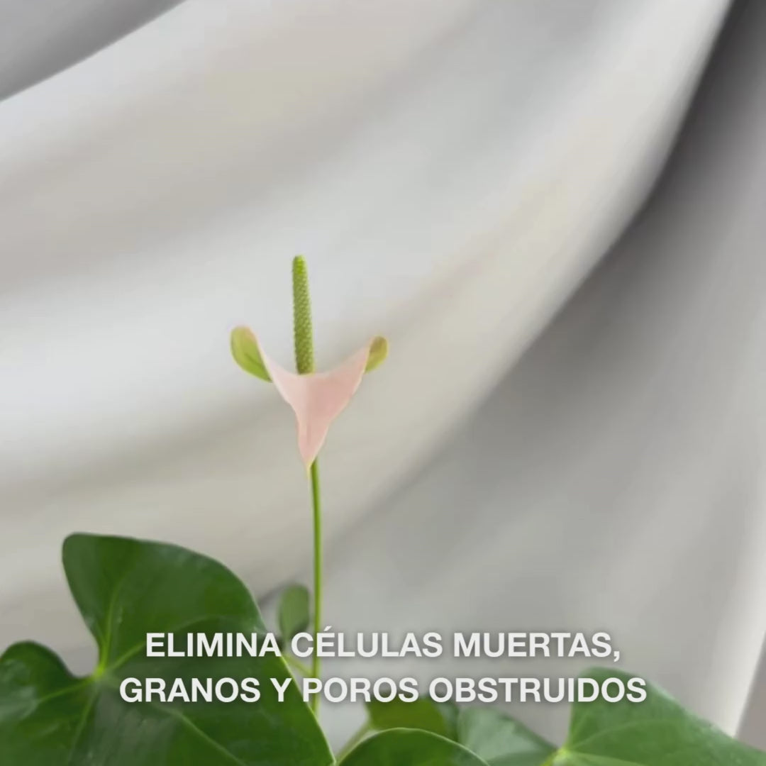 Vídeo: el Salicylic Acid Body Scrub de Australian Bodycare se masajea sobre la piel húmeda y se aclara, dejando la piel suave y limpia