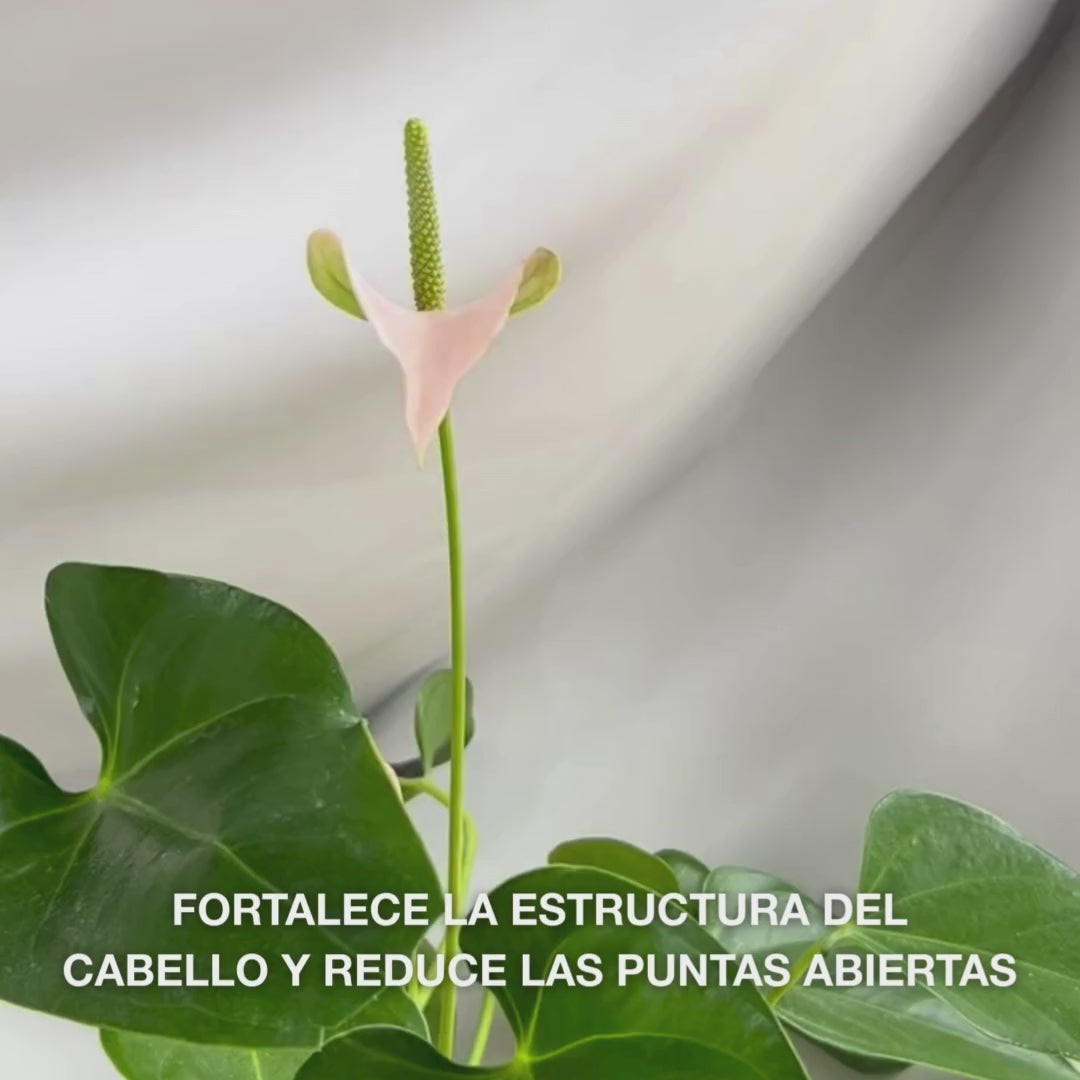 Acondicionador Vitamina B12 para cabello dañado. Efecto bond que repara y da brillo. Con Vitamina B12, Pantenol y Elaya Renova™.