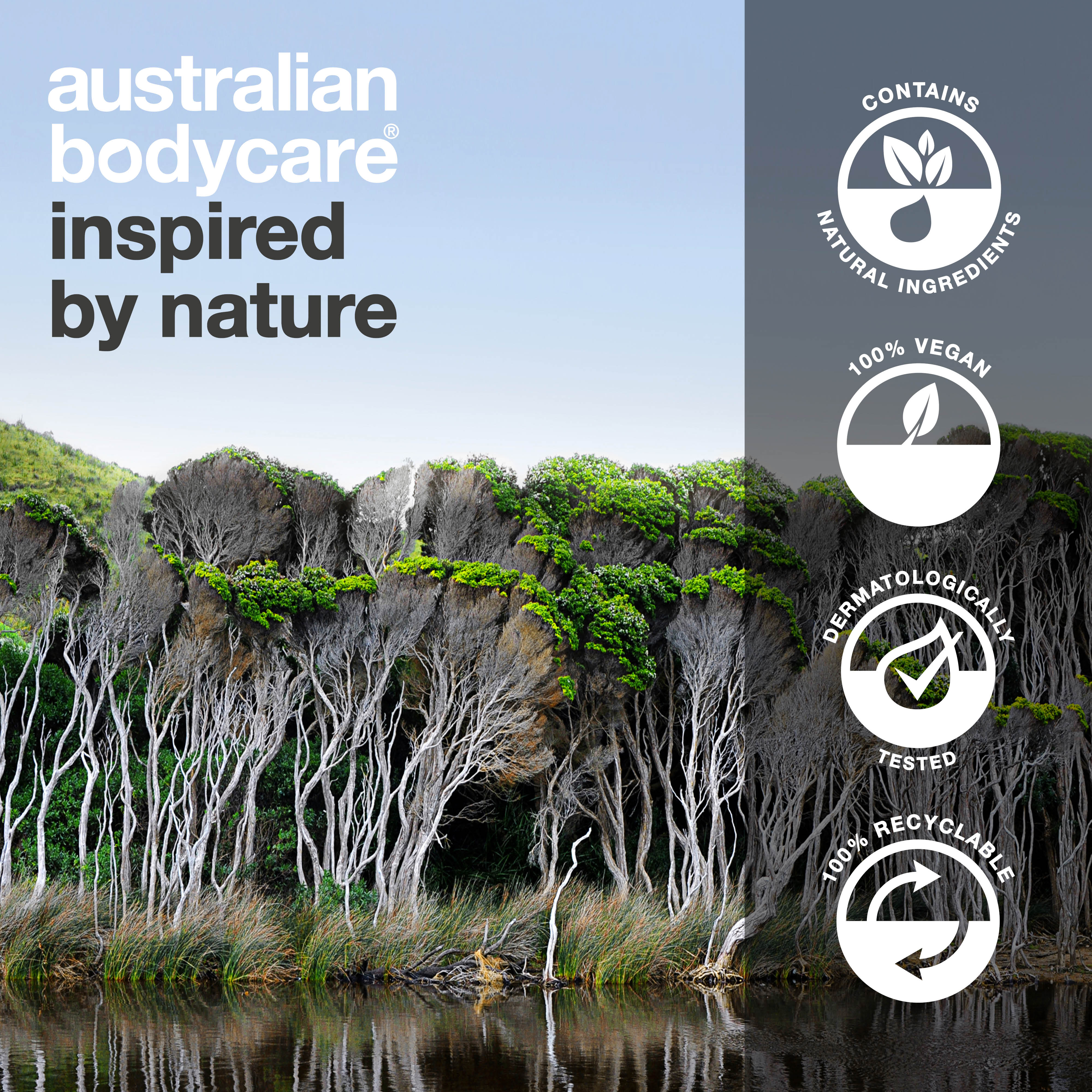 Aceite puro de árbol de té para problemas de la piel: aceite de árbol de té 100% natural y concentrado de Australia